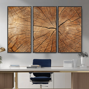 Tree Ring Canvas Art, Rustic Wood Grain Wall Art, Tree Slice