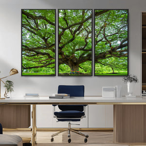 Angel Oak Tree Wall Art Canvas Print – Framed Majestic