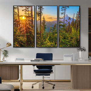 Forest Sunset Wall Art Canvas Print, Glowing Evening Light