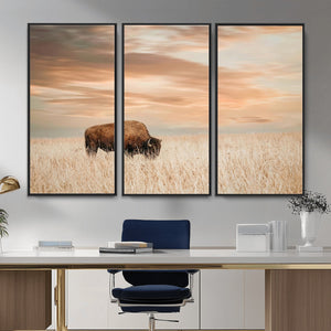 MyCanvas -