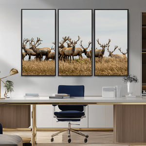 Elk Herd Wall Art Canvas Print – Framed Wildlife Photography