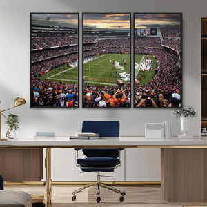 Chicago Bears Soldiers Field Wall Art Canvas Print – Framed