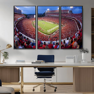 Dooley Stadium Wall Art, Sports Arena Canvas Print, Dooley
