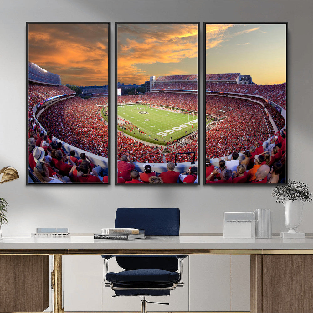 Dooley Stadium Wall Art, Sports Arena Canvas Print, Dooley