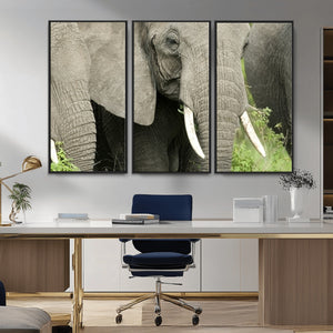 Wild Elephant Wall Art Canvas Print