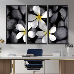 Plumeria Frangipani Black Stone Canvas | White Flower Spa