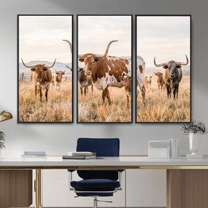 Texas Longhorn Canvas Wall Art, Rustic Farm Animal Photography Print, Farmhouse Country Decor, Western Ranch Art