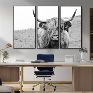 Newfoundland Cow Art Wall Art, Black White Cow Art Wall Art