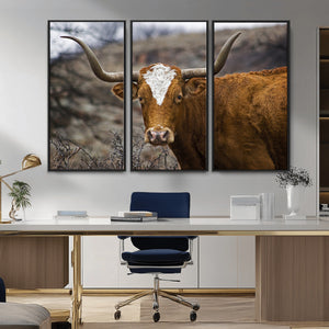 Texas Longhorn Canvas Wall Art - Longhorn Steer Canvas Wall