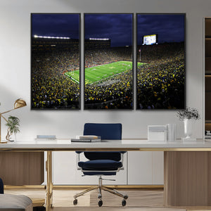 Michigan Wolverines Football Canvas Wall Decor, Football