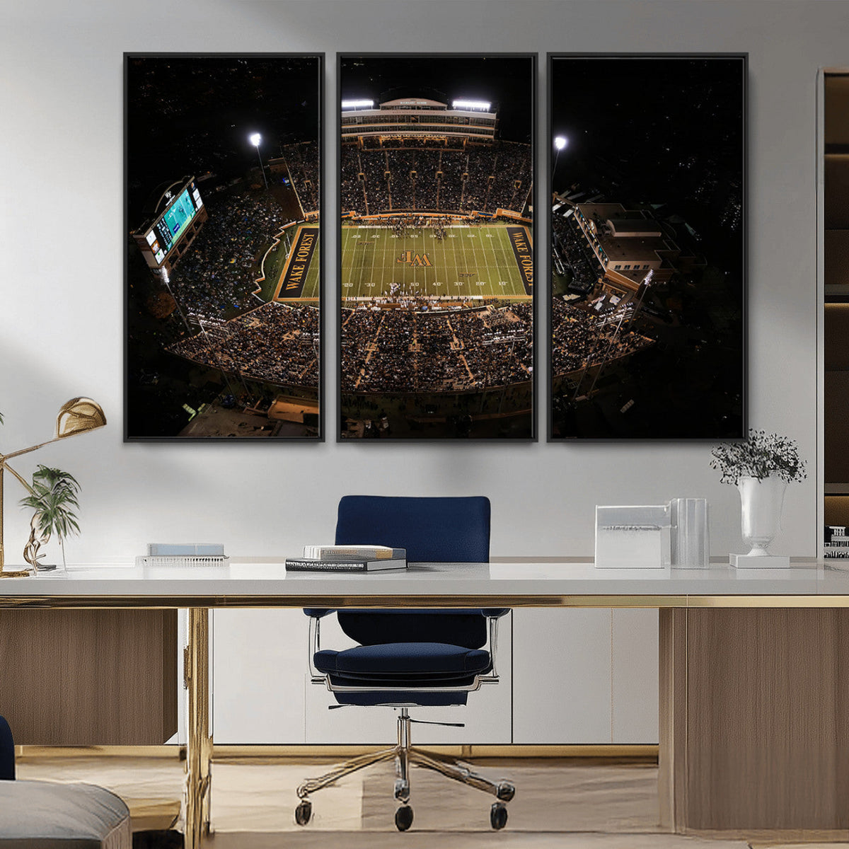 Wake Forest University Demon Deacons Canvas Printi, Football
