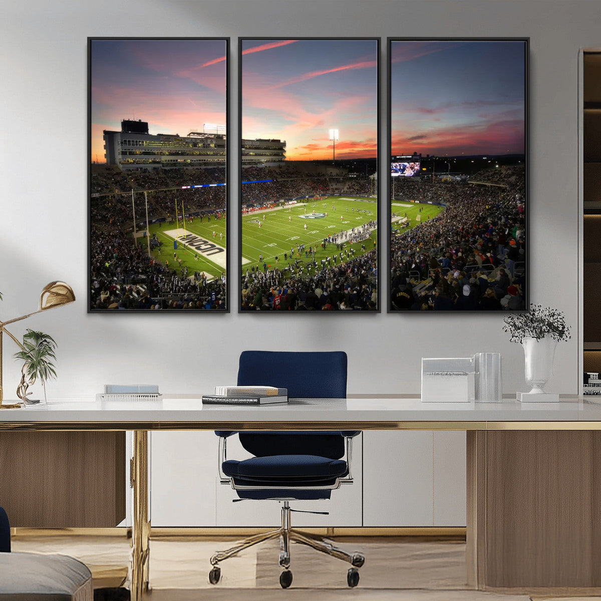 The University of Connecticut UCONN Huskies Football Team