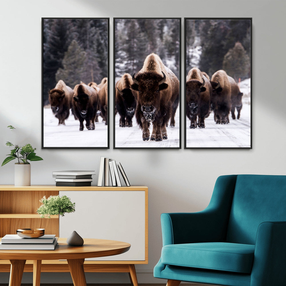Bison Wall Art Canvas Print- Bison Herd Canvas Wall Art –