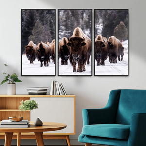 Bison Wall Art Canvas Print- Bison Herd Canvas Wall Art –