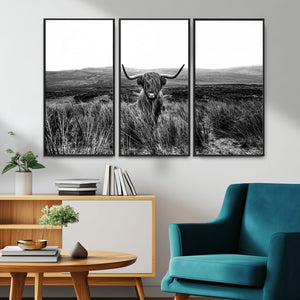 Black and White Highland Cow Canvas Wall Art, Longhorn