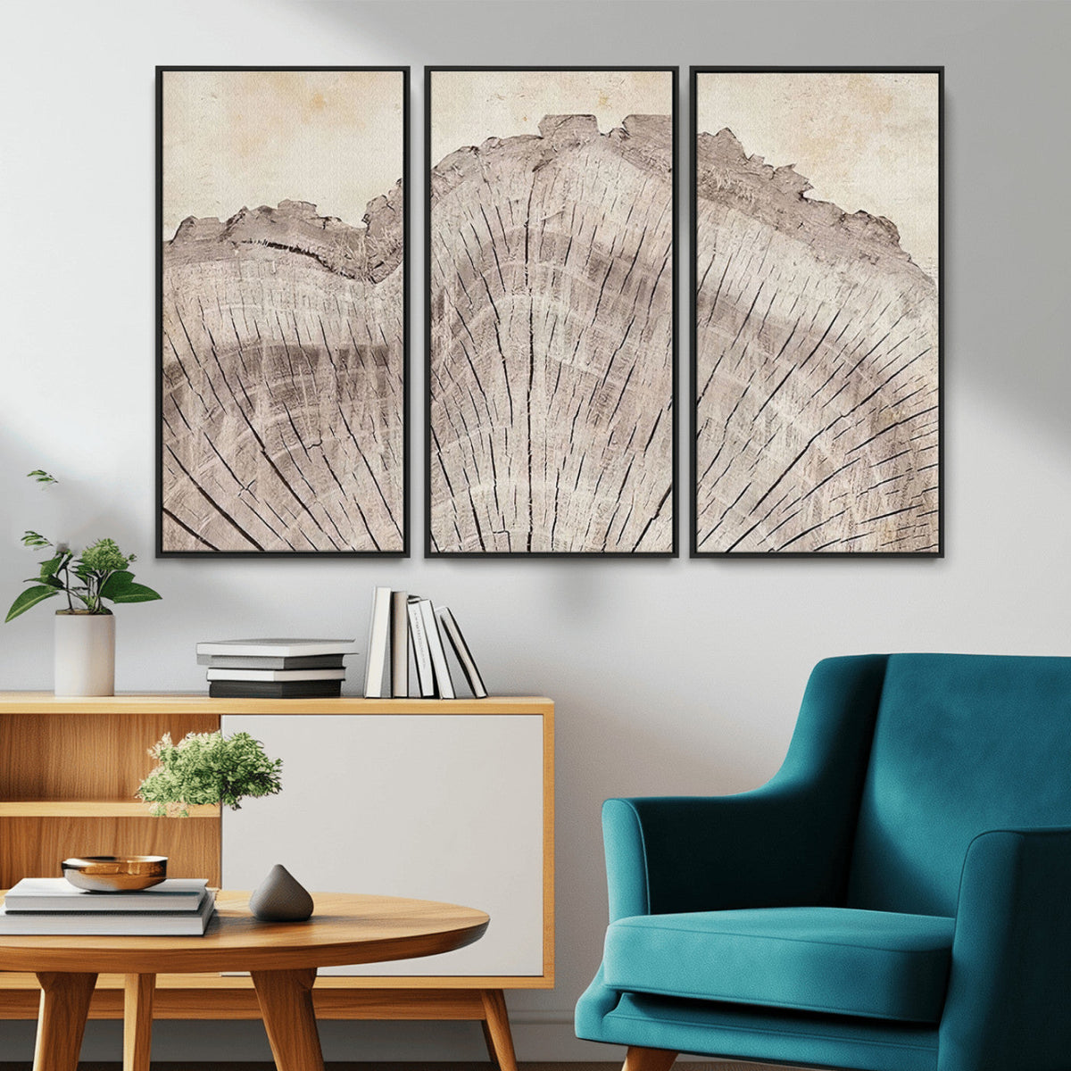 Tree Ring Wall Art Triptych, Rustic Wood Ring Canvas Print,