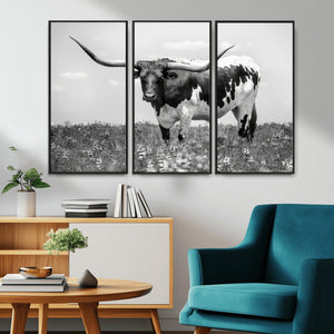 Texas Black White Highland Longhorn Cow Wall Art Canvas