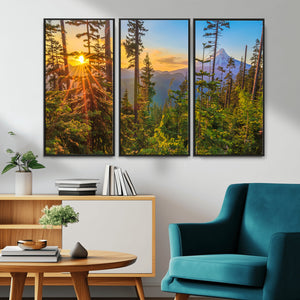 Forest Sunset Wall Art Canvas Print, Glowing Evening Light