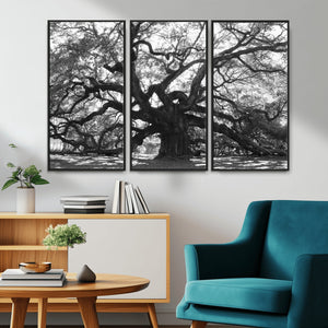 Ancient Oak Wall Art Canvas Print, Majestic Twisted Branches