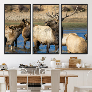 Wild Elk Wall Art Canvas Print – Framed Neutral Wildlife