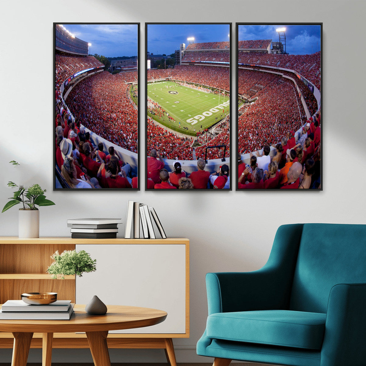 Dooley Stadium Wall Art, Sports Arena Canvas Print, Dooley