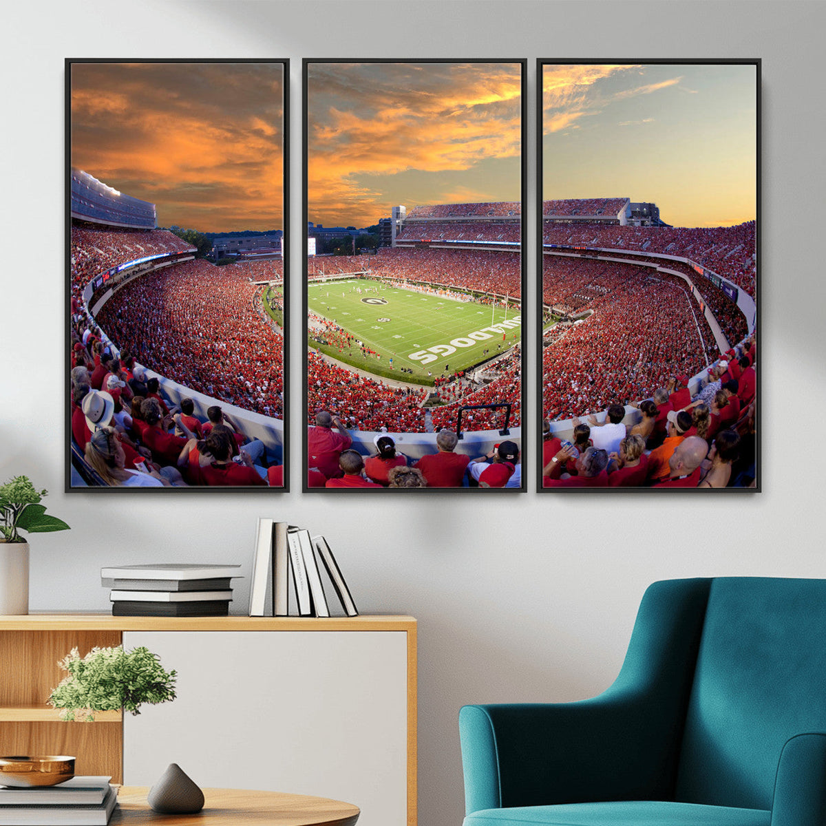 Dooley Stadium Wall Art, Sports Arena Canvas Print, Dooley