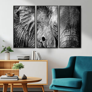 Wild Old Elephant Wall Art Canvas Print