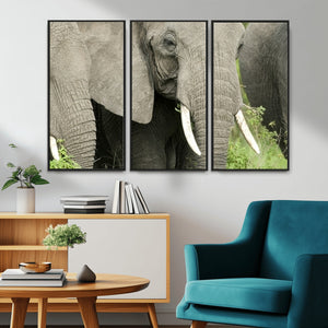 Wild Elephant Wall Art Canvas Print