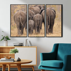 Wild Elephant Wall Art Canvas Print