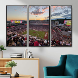 Donald W. Reynolds Razorback Stadium Wall Art Canvas Print –