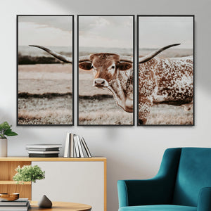 Texas Longhorn Bull Rustic Wall Art Canvas Print