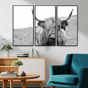 Newfoundland Cow Art Wall Art, Black White Cow Art Wall Art