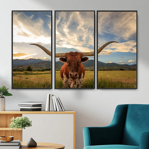 Texas Longhorn Canvas Wall Art – Majestic Triptych Animal