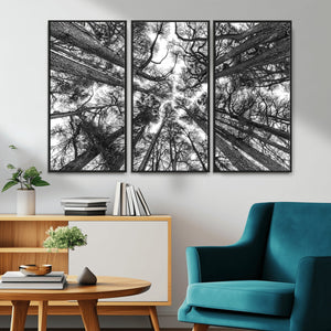 Trees Contemporary Art Canvas Print