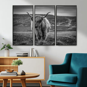 Fluffy Cattle Wall Art Print, Highland Cow Canvas, Framed