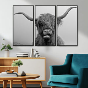 Texas Cow Wall Art Canvas, Texas Longhorn Cattle Canvas