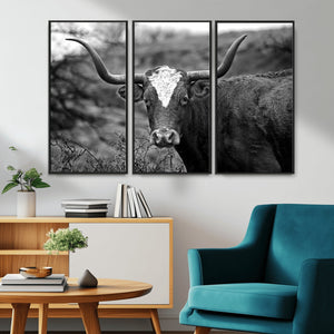Western Home Wall Art Canvas Print, Framed Texas Longhorn