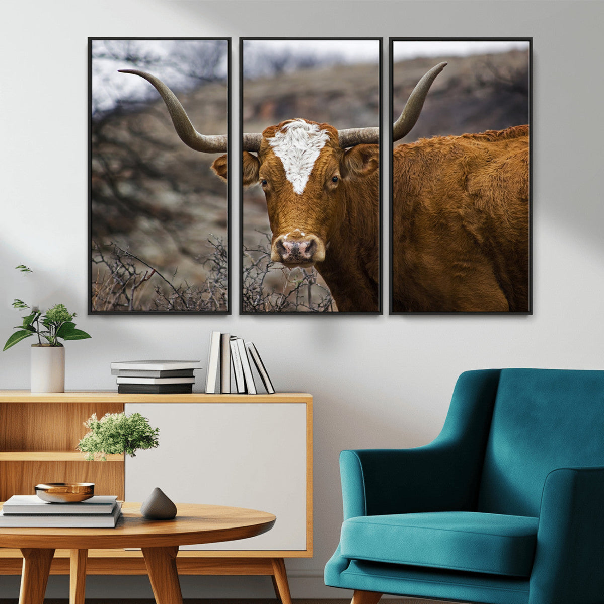 Texas Longhorn Canvas Wall Art - Longhorn Steer Canvas Wall