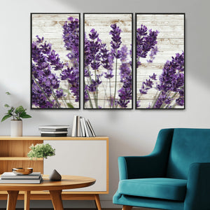 Lavender Herb Wall Art Canvas Print