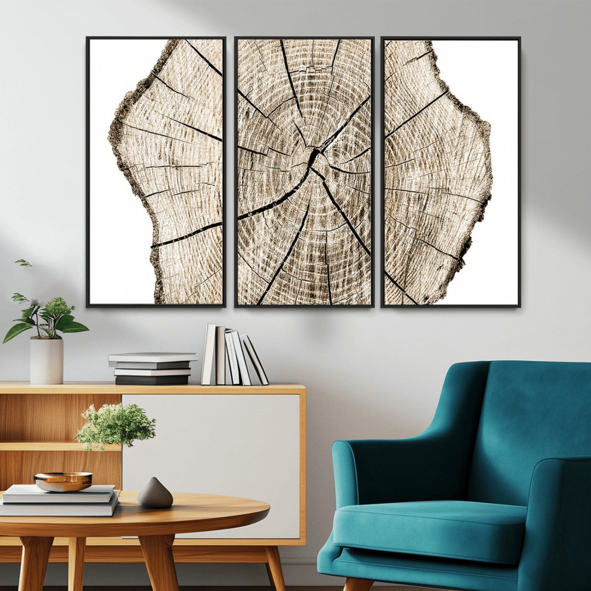Abstract Wood Tree Ring Wall Art - Ready to Hang Minimalist