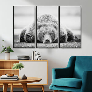 Resting Grizzly Bear Wall Art Canvas Print – Majestic Lazy