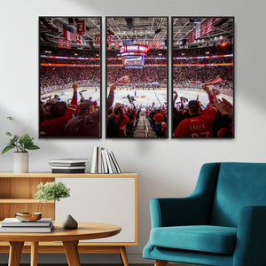 Carolina Hurricanes Ice Hockey Stadium Wall Art, Carolina