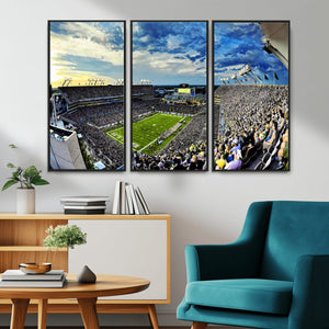 Framed USF Bulls Football Team Print - Tampa Raymond James