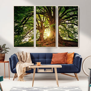 Majestic Ancient Tree Wall Art, NatureCanvas Print, Woodland