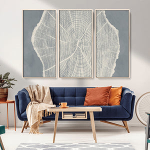 Abstract Tree Ring Wall Art Canvas Print – Nature-Inspired,