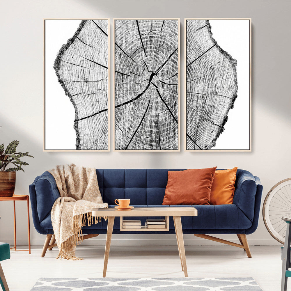 Rustic Tree Ring Wall Art Canvas Print – Framed and Ready to