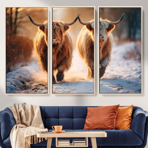 Scottish Highland Cow Horn Farm Wall Art Canvas Print