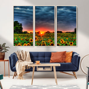 Golden Sunflower Field at Sunset – Breathtaking Sky and