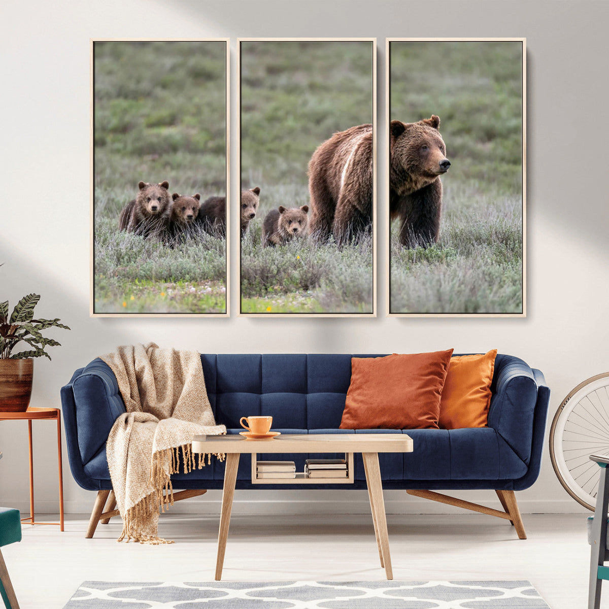 Wildlife Photography of 399 Grizzly Bear Cubs | Queen of the