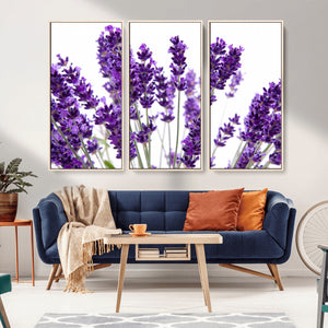 Lavender Flower Wall Art Canvas Print